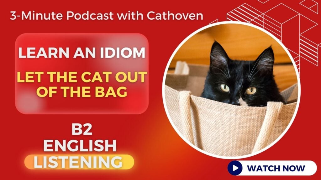 What does 'let the cat out of the bag' mean? B1 Level listening practice